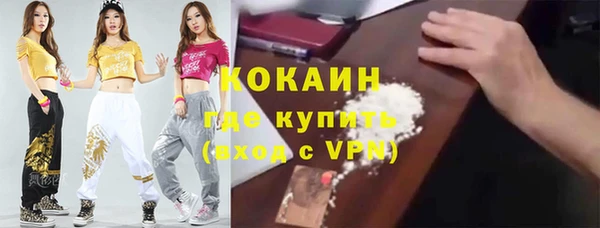 дмт Бородино