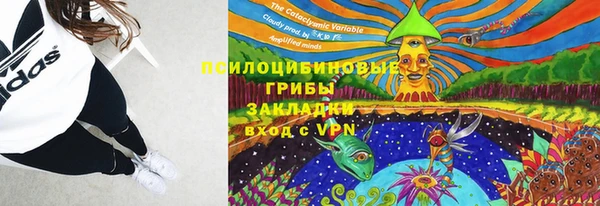 ГАЛЛЮЦИНОГЕННЫЕ ГРИБЫ Богородск