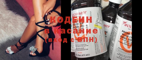 дмт Бородино