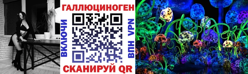 мега ССЫЛКА  Севск  Псилоцибиновые грибы Psilocybine cubensis 